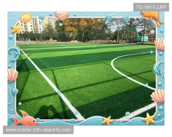 五大联赛主场草皮质量标准化进展明显，顶级足球场真草草皮费用