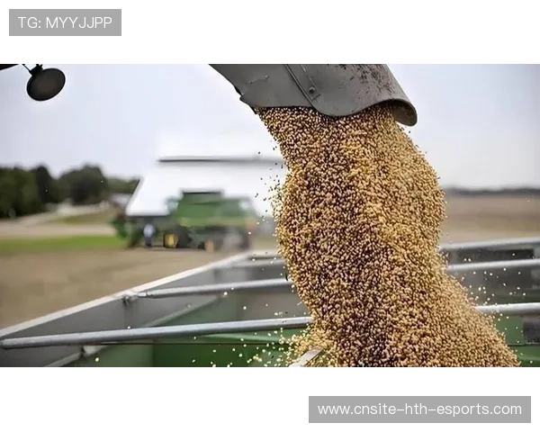 商务部就大豆问题发声:关税政策不应成为阻碍,大豆 关税 商务部就大豆问题发声:关税政策不应成为阻碍,大豆 关税